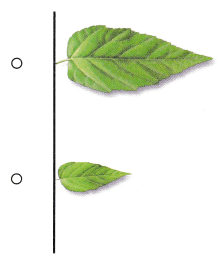 Texas Go Math Kindergarten Lesson 19.2 Answer Key 13