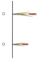 Texas Go Math Kindergarten Lesson 19.2 Answer Key 14