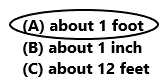 Texas-Go-Math-Grade-2-Lesson-16.3-Answer-Key-9(1)