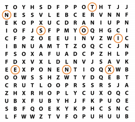 Texas Go Math Grade 6 Unit 4 Study Guide Review Answer Key 31