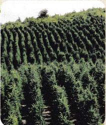 Texas Go Math Grade 8 Lesson 15.2 Answer Key 3