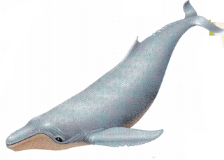 Texas Go Math Grade 8 Lesson 2.1 Answer Key 2