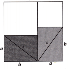 Texas Go Math Grade 8 Lesson 8.1 Answer Key 3