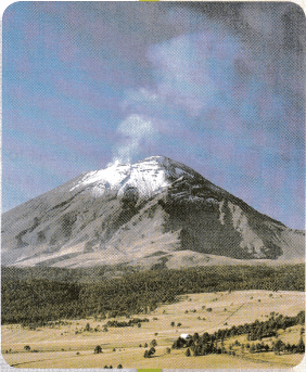 Texas Go Math Grade 8 Lesson 9.2 Answer Key 15