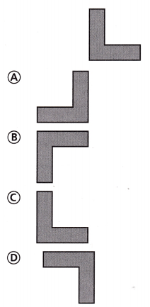 Texas Go Math Grade 8 Unit 5 Study Guide Review Answer Key 10