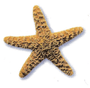 Texas Go Math Grade 2 Lesson 12.3 Answer Key 8