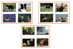 Texas Go Math Grade 2 Lesson 12.5 Answer Key 4