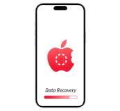 Data Recovery