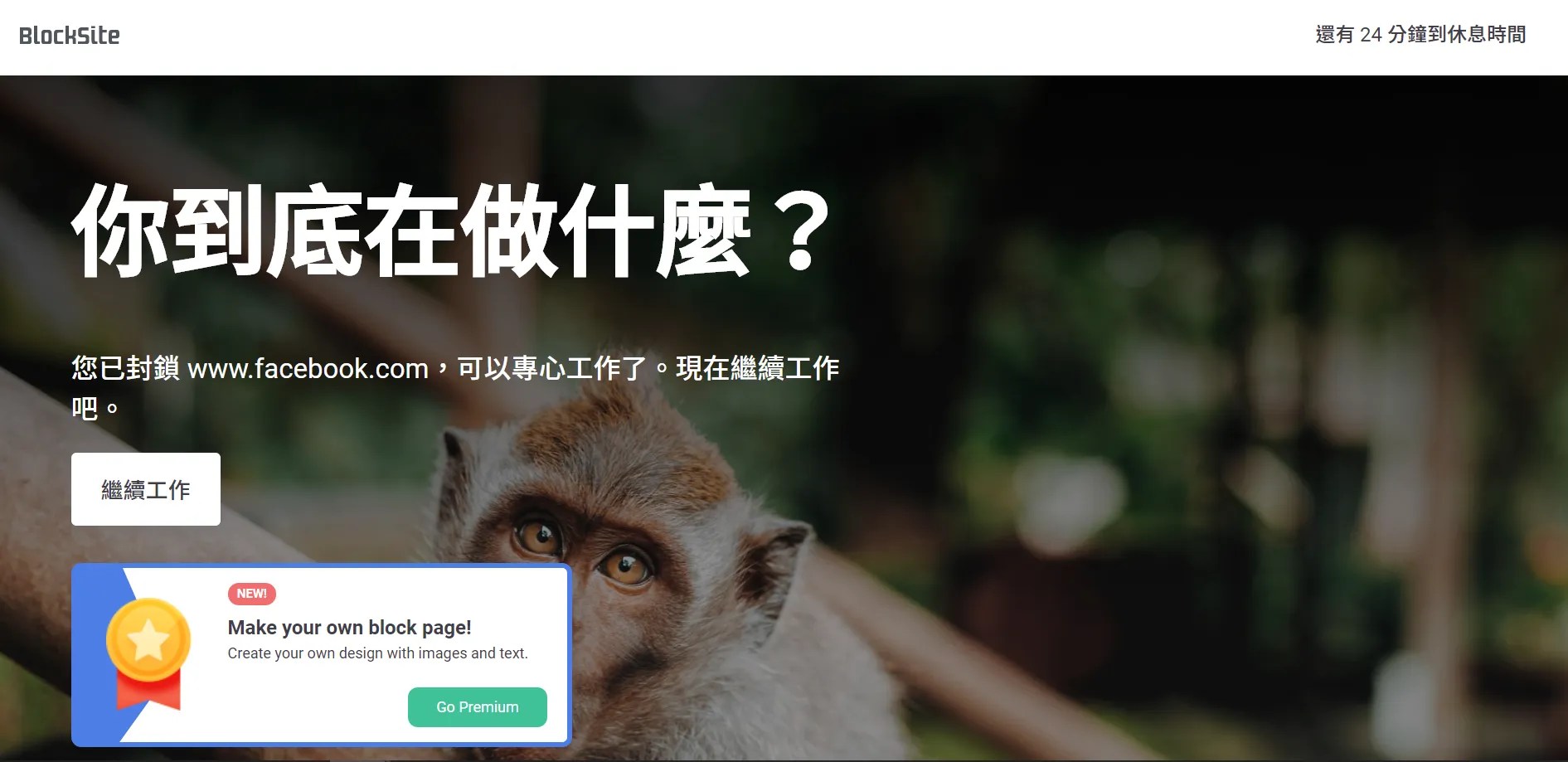 BLOCKSITE 提醒你該專注了