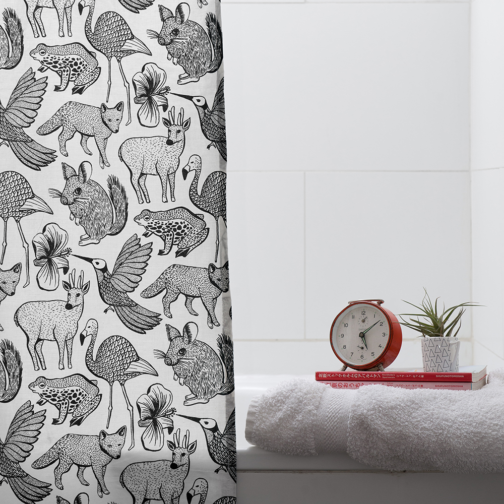 Colección Fauna de Chile