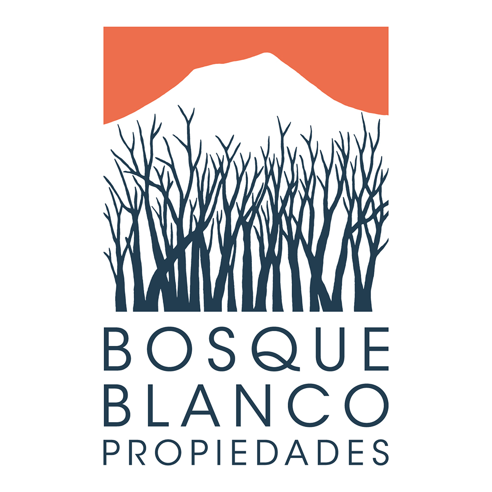 Bosque Blanco Propiedades