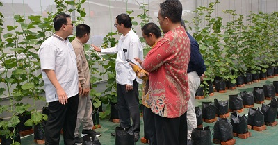 UIN Jakarta Kenalkan Prodi Agribisnis yang Tak Sekadar Bertani