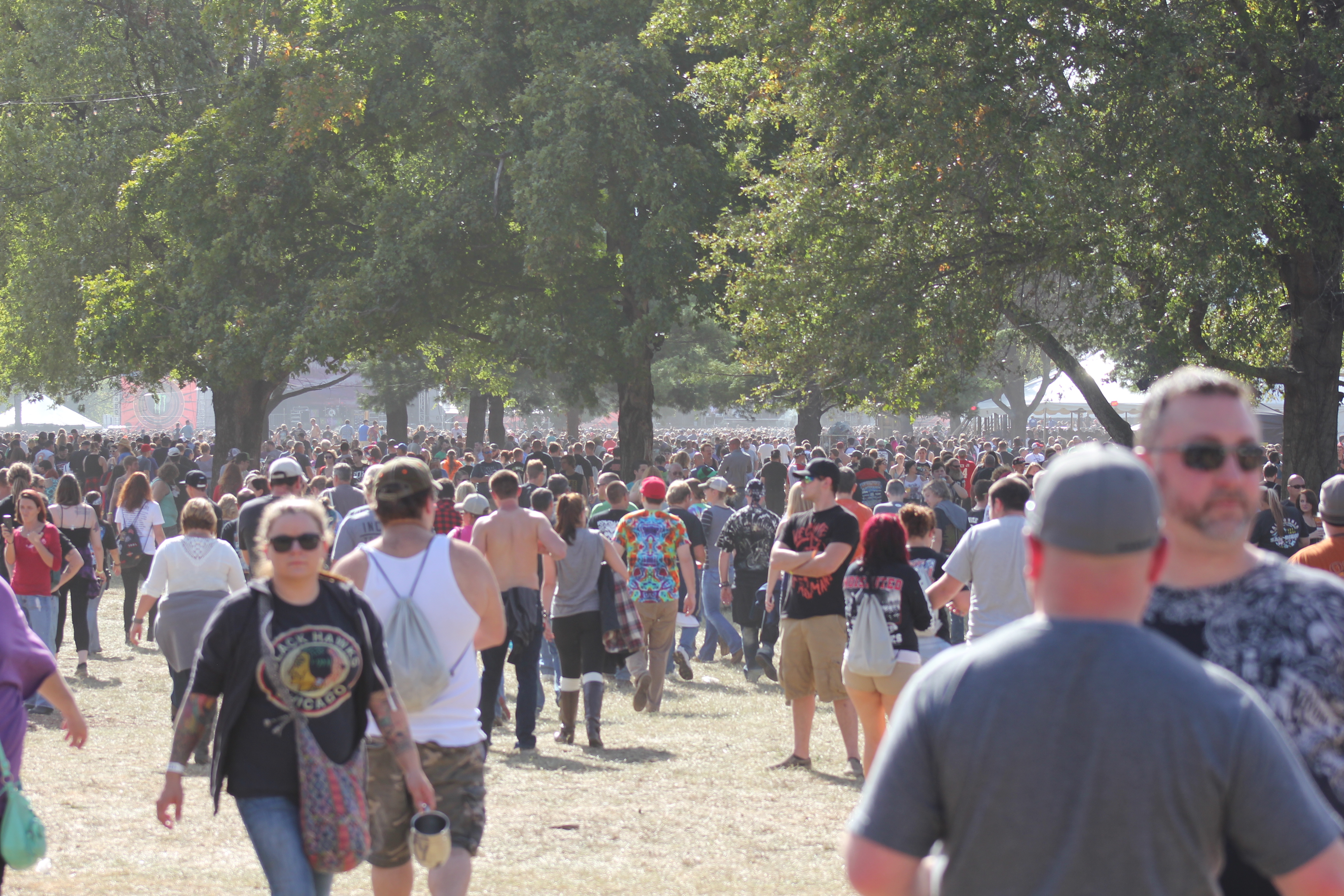 Crowd