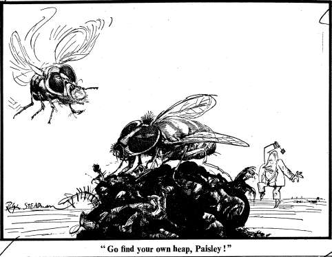 fly