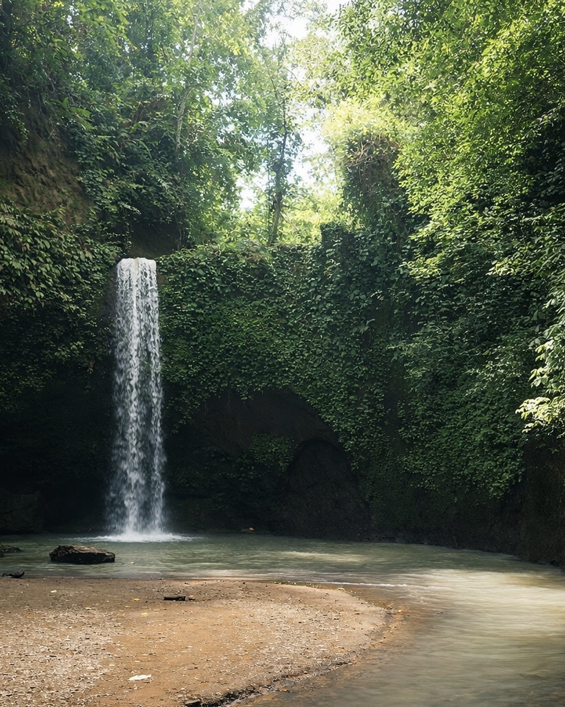 IMG 7257