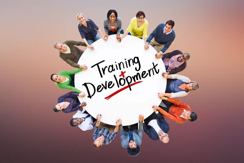 Training & Workshops