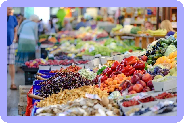 농업인 지원정책은 무엇일까 4 농업인 지원정책은 무엇일까