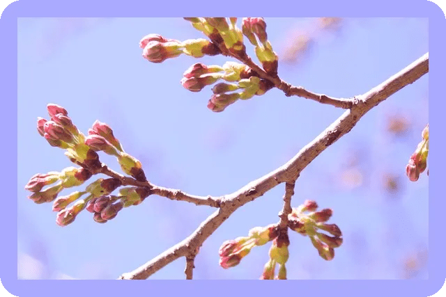 봄철 운동 추천 혼돈을 극복할 방법은? 4 봄철 운동 추천 혼돈을 극복할 방법은?