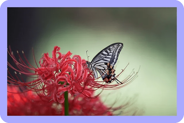 봄철 패션 트렌드 2024 예상되나 3 봄철 패션 트렌드 2024 예상되나