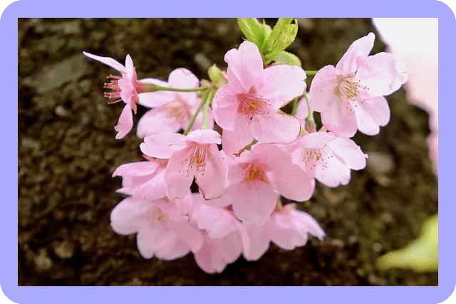 봄철 패션 트렌드 2024 예상되나 4 봄철 패션 트렌드 2024 예상되나