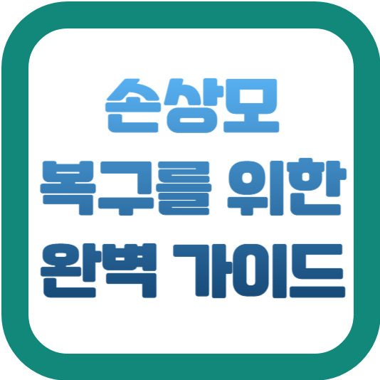 손상모 복구를 위한 완벽 가이드 1