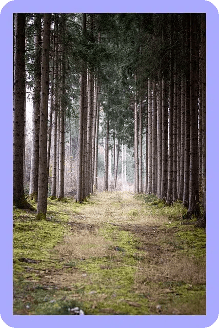 학교 밖 청소년 지원센터 서비스로 꿈을 이루는 법은? 3 학교 밖 청소년 지원센터 서비스로 꿈을 이루는 법은?