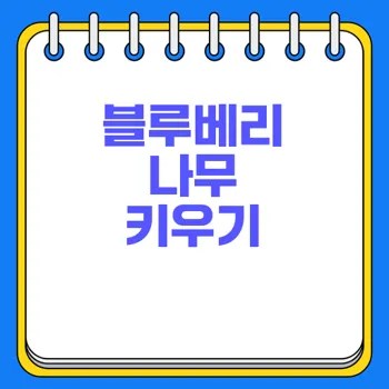 블루베리 나무 키우기 비법 공개 2 블루베리 나무 키우기 비법 공개
