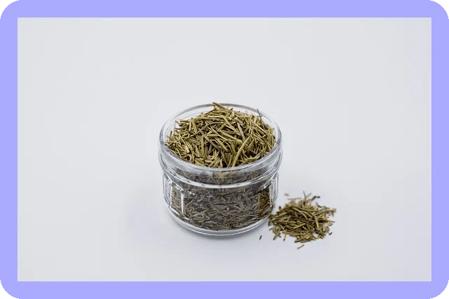 허브 키우는 방법 초보자도 쉽게 따라하기 6 허브 키우는 방법 초보자도 쉽게 따라하기