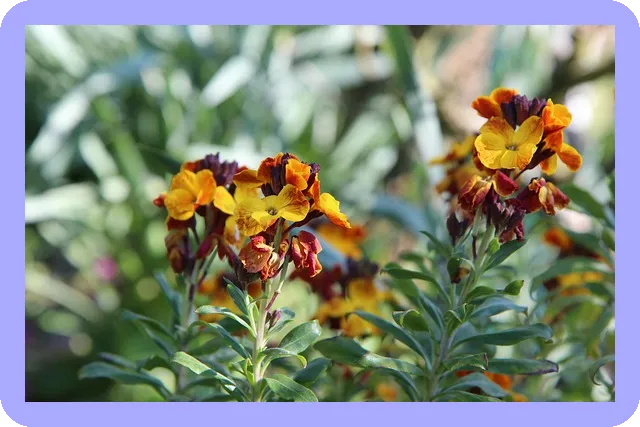 커튼 인테리어 효과로 원룸 분위기 변신하기 4 커튼 인테리어 효과로 원룸 분위기 변신하기