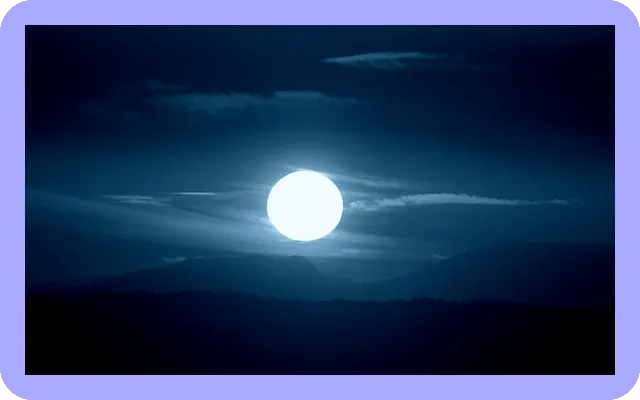 커튼 인테리어 효과로 원룸 분위기 변신하기 5 커튼 인테리어 효과로 원룸 분위기 변신하기