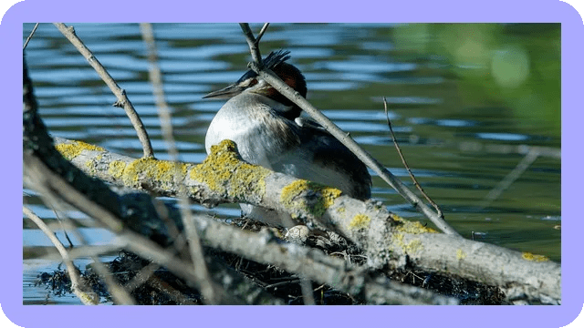 부모님 보험 추천 간병인 보험 알아보기 5 부모님 보험 추천 간병인 보험 알아보기