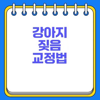 반려동물 행동교정 강아지 짖음 해결법 쉽게 따라하기 2 반려동물 행동교정 강아지 짖음 해결법 쉽게 따라하기