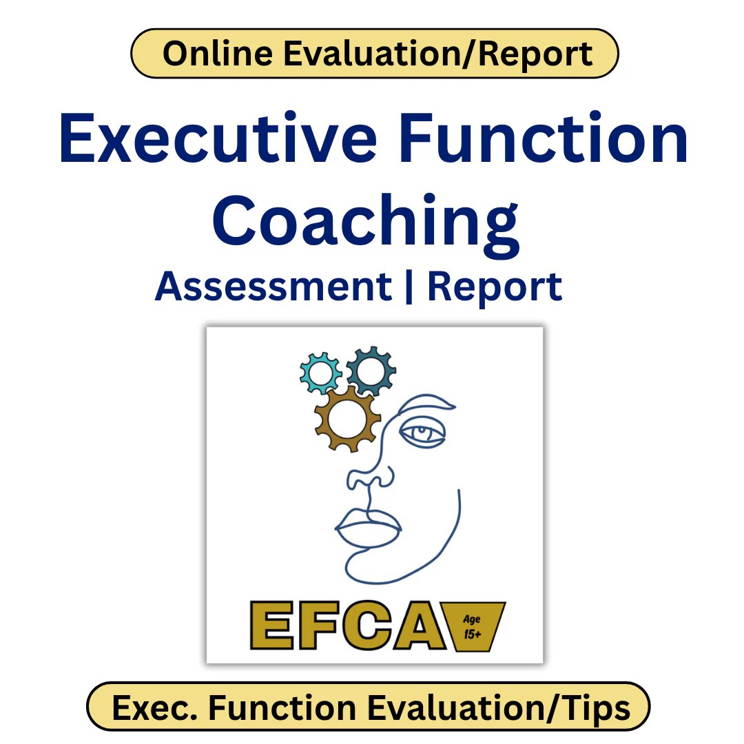 Executive Functioning Coaching Assessment Comprehensive Report Good