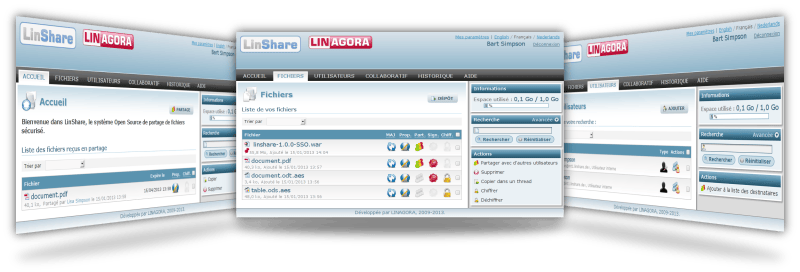 linshare_overview.png
