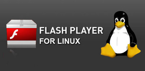 Flash.jpg