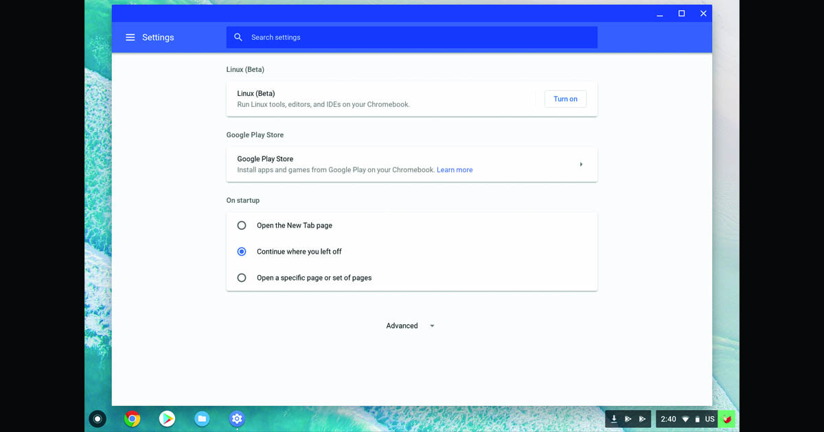 codeweavers-pixelbook-preferences-on-linux-vm.jpg