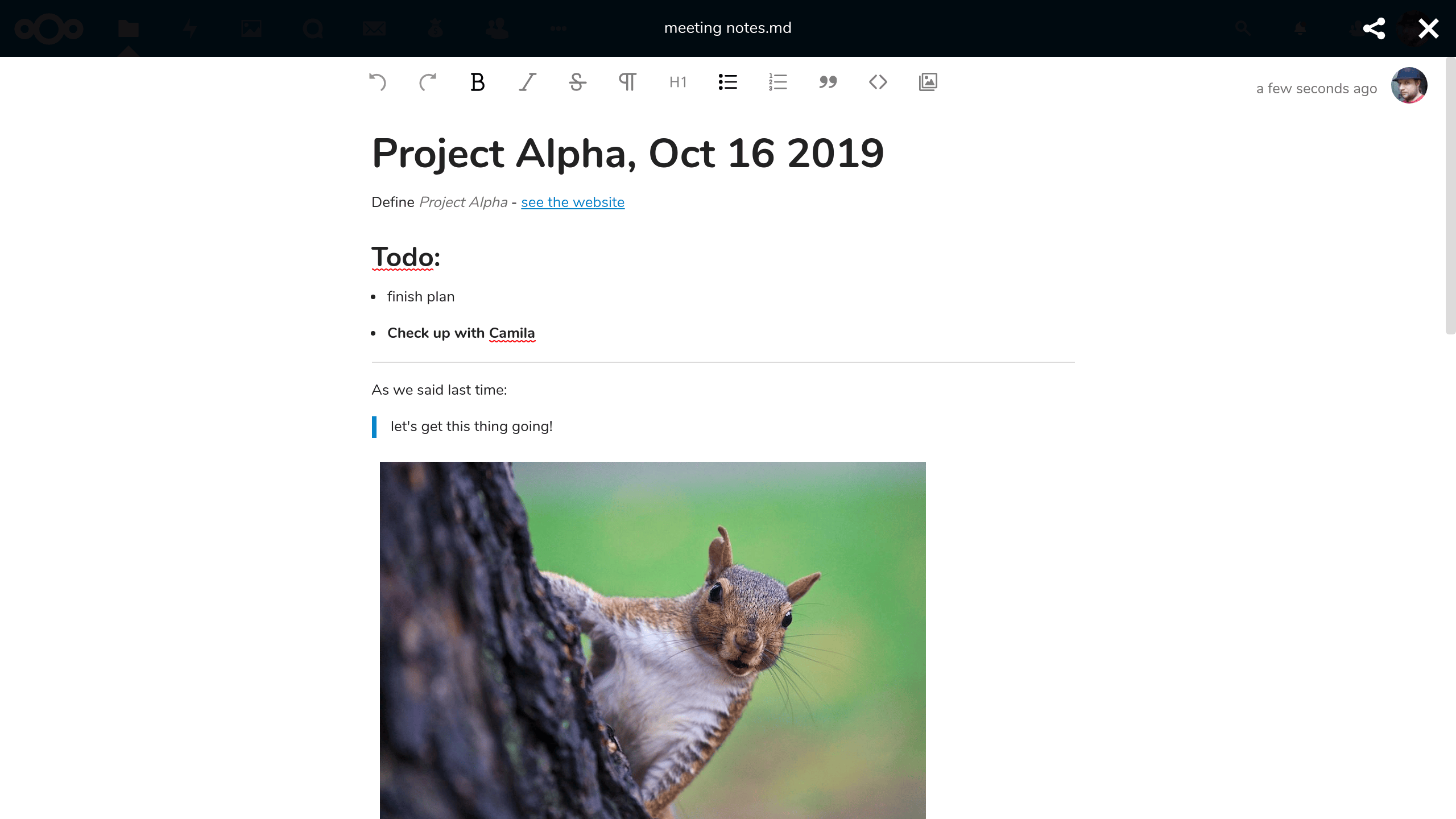 nextcloud-text-screenshot-2.png