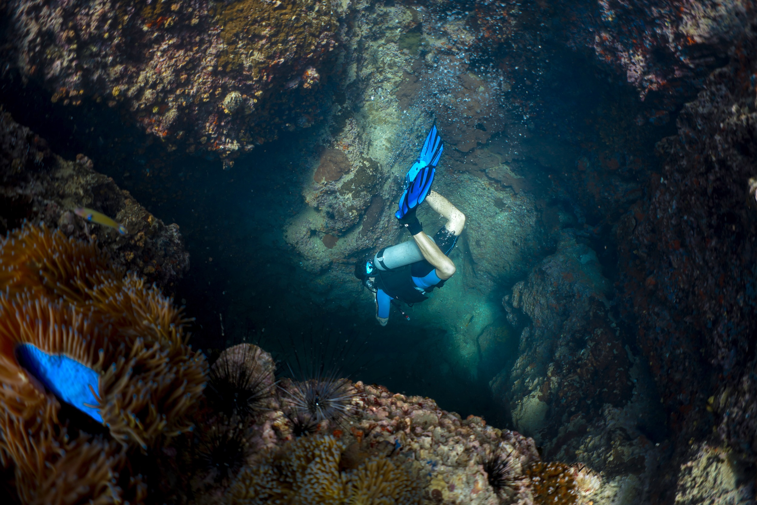 Diver exploring underwater the famous chimney swimthrough at Sail Rock surrounded by coral reefs, showcasing marine adventure and vibrant ocean life.
