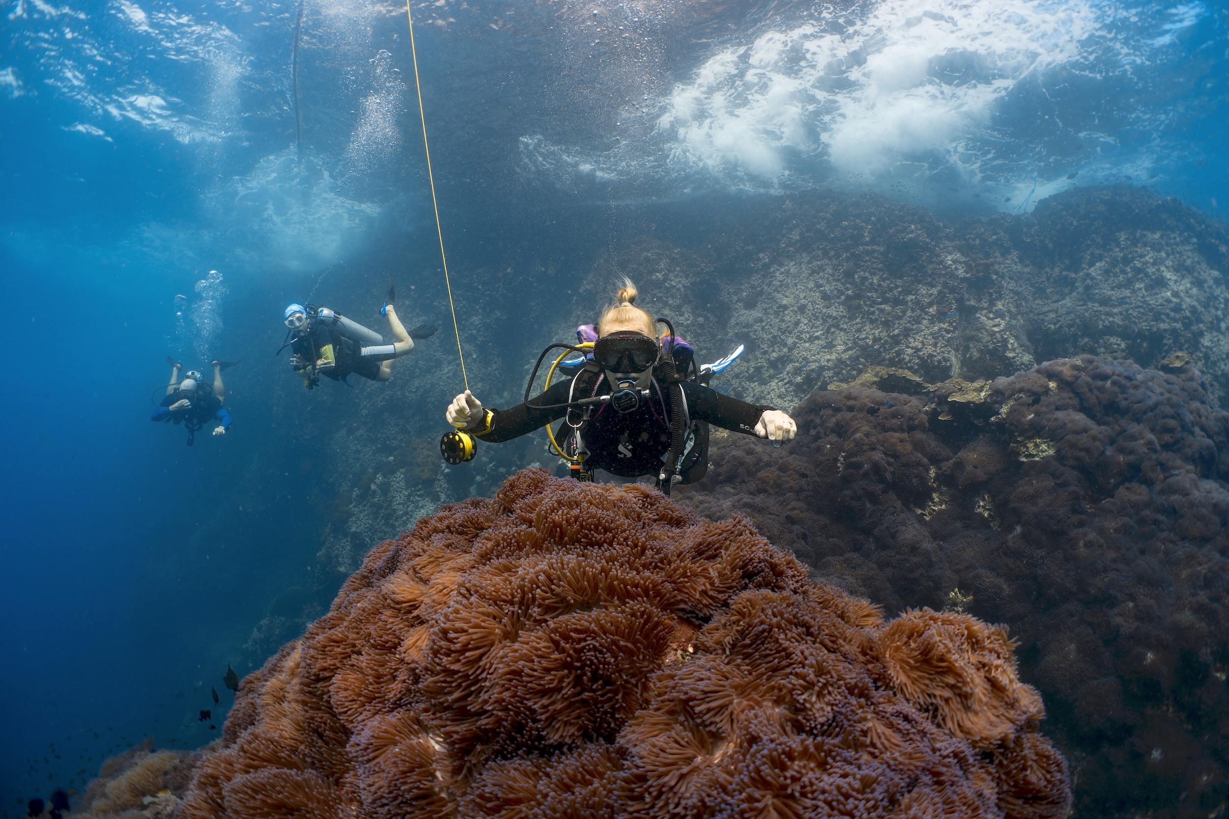 Scuba divers exploring vibrant coral reef underwater in clear blue sea.