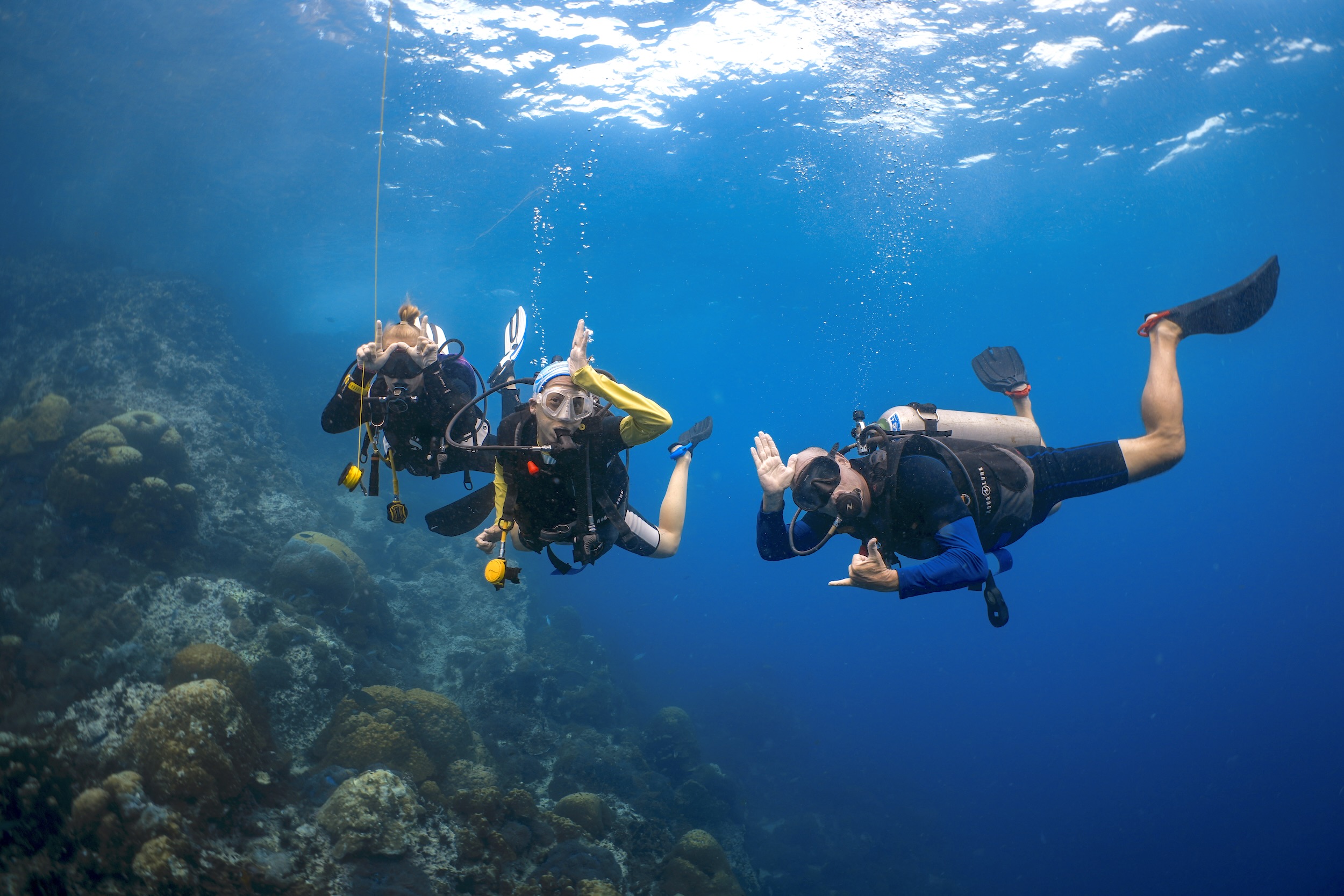 Divers exploring vibrant coral reef underwater, giving hand signals, enjoying marine life adventure.