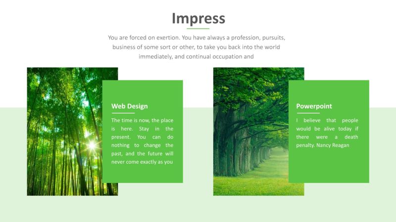 Forest Google Slide Google Slides Templates - Colorful Images - Modern HD Collection