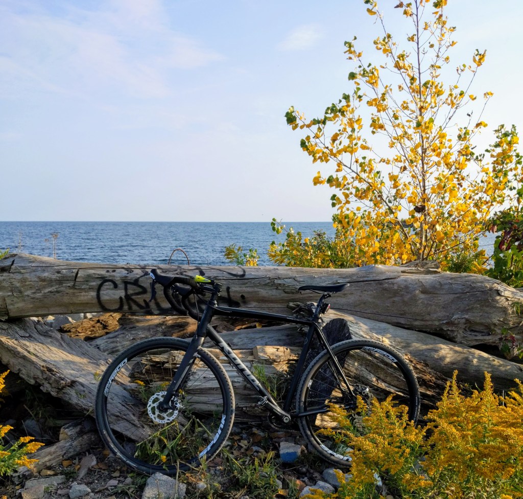 A Kona Private Jake bicycle leans against a large fallen tree trunk covered in graffiti at the Leslie Spit in Toronto. The setting overlooks the calm waters of Lake Ontario under a clear blue sky. Surrounding the scene are trees and plants with yellow leaves, hinting at the autumn season. The mix of nature, urban artistry, and the sleek bike creates a striking contrast in the peaceful environment.