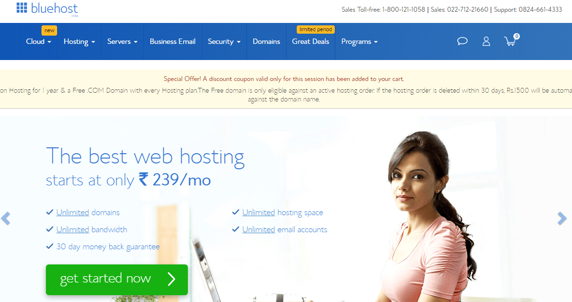 bluehost hosting review
