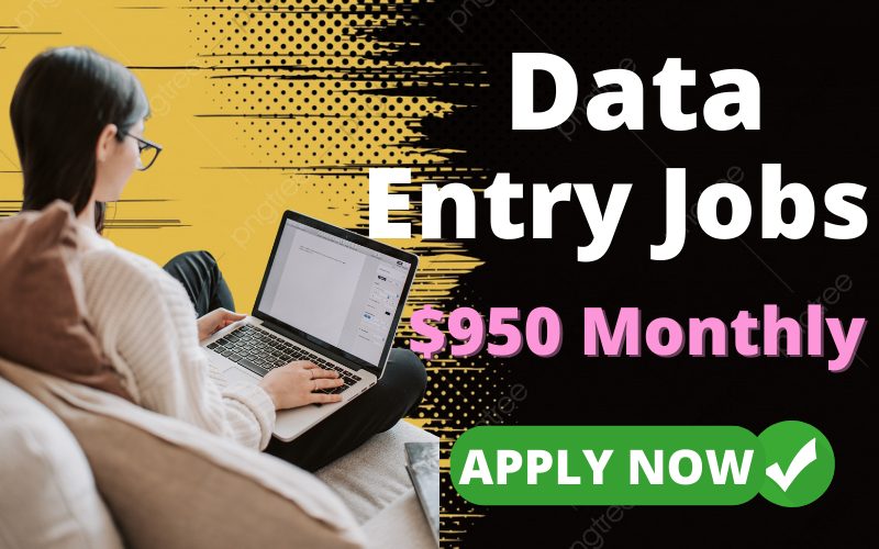 Data-Entry-Jobs-For-Beginners.