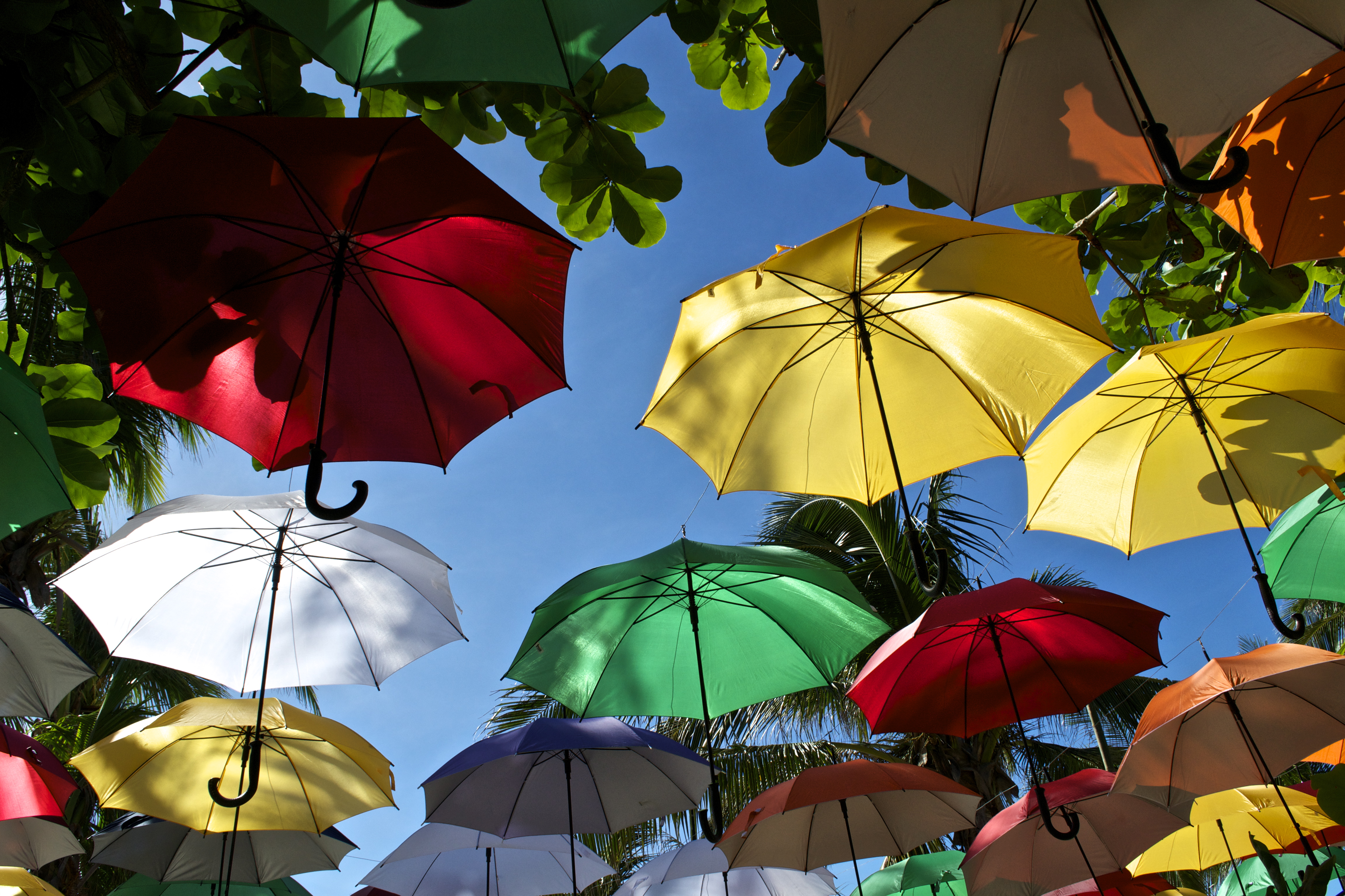 Colorful umbrellas outside Exit Bar