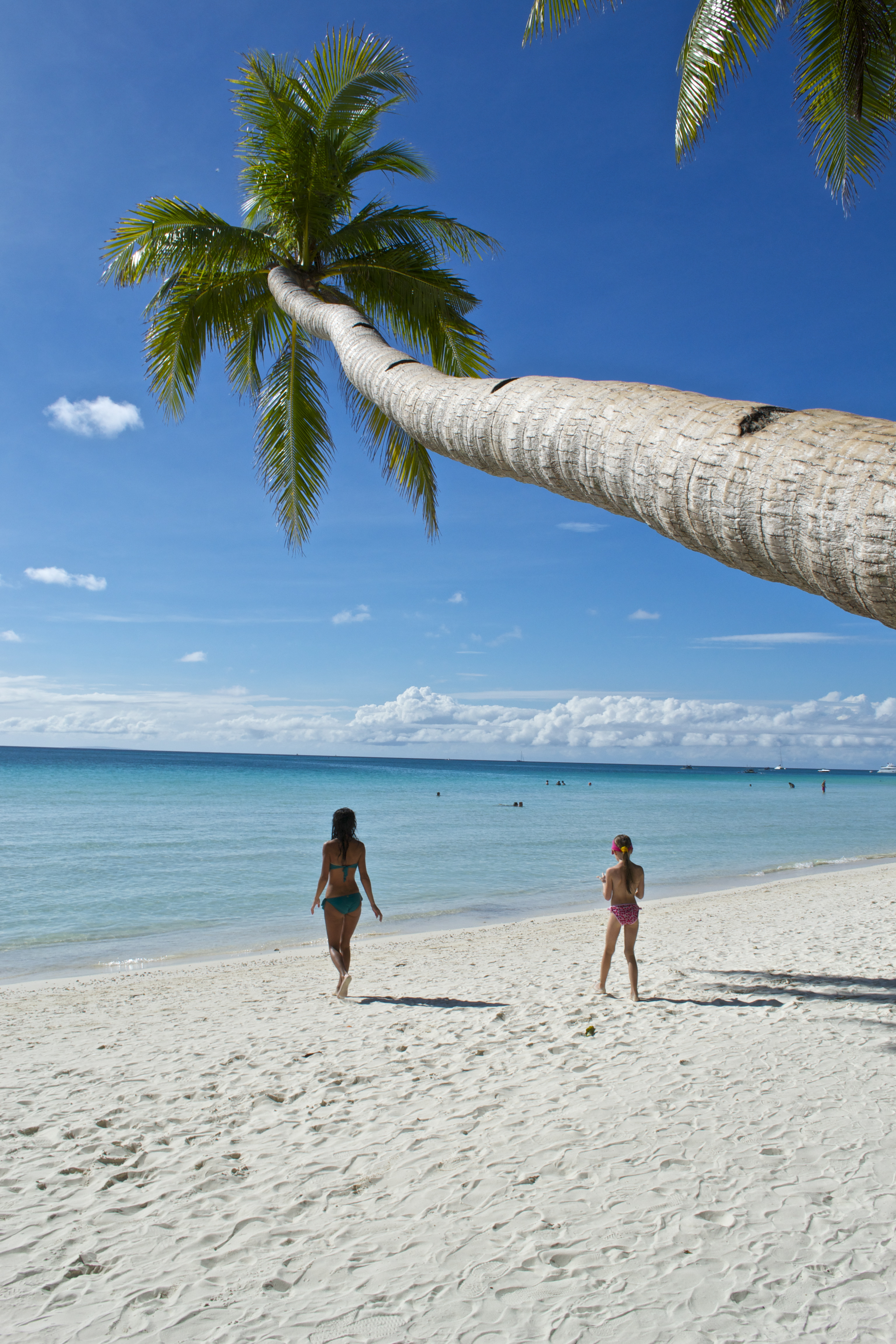 The famous crooked palm tree on White Beach