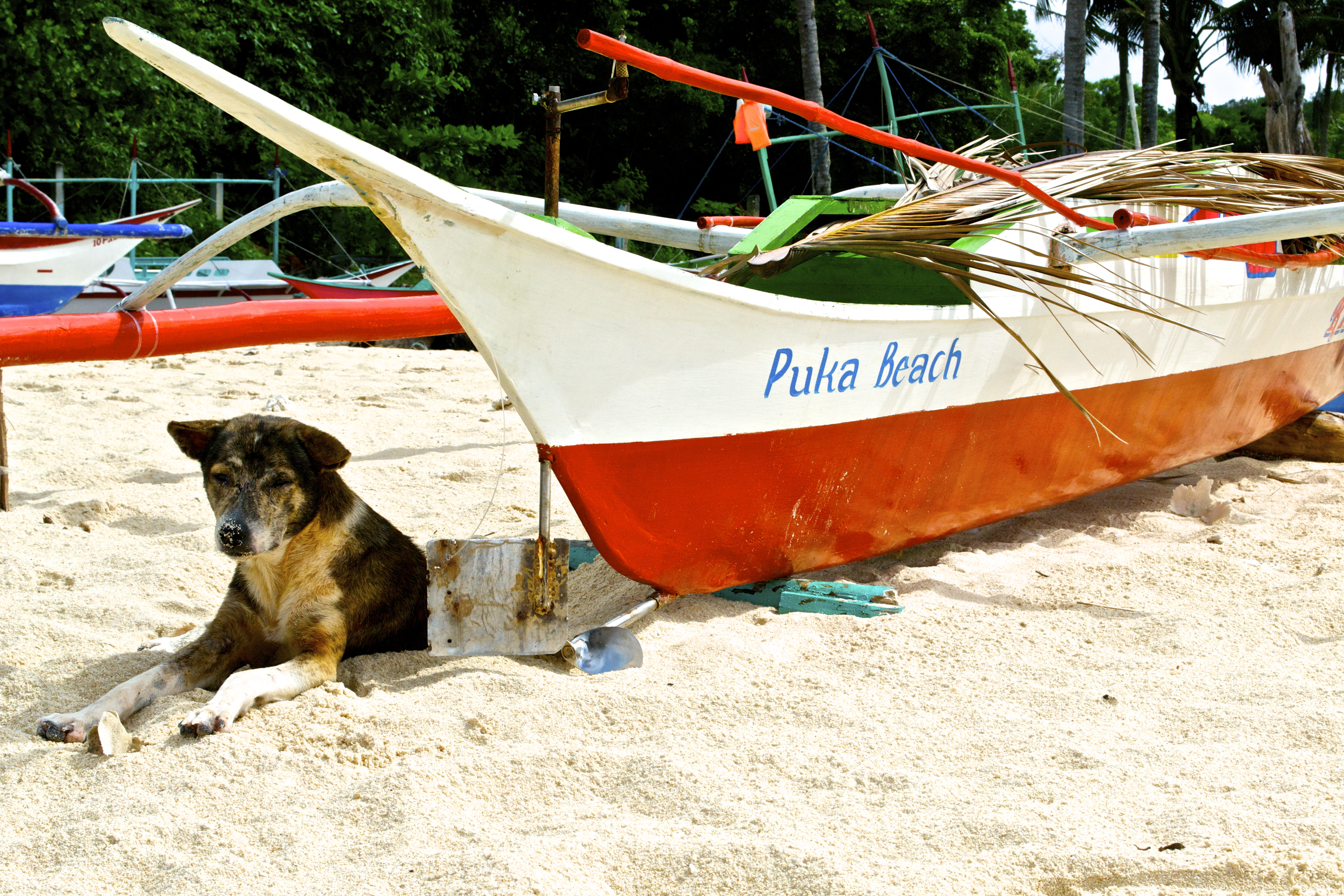 Puka Beach up north.