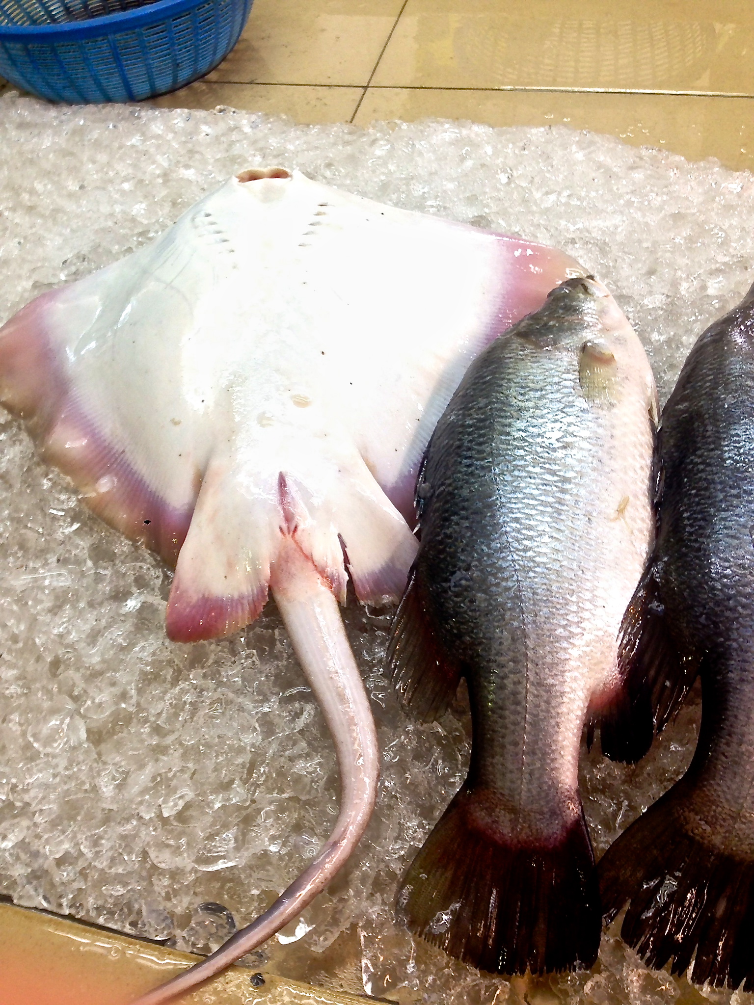 Sting ray and other fish at the wet market.