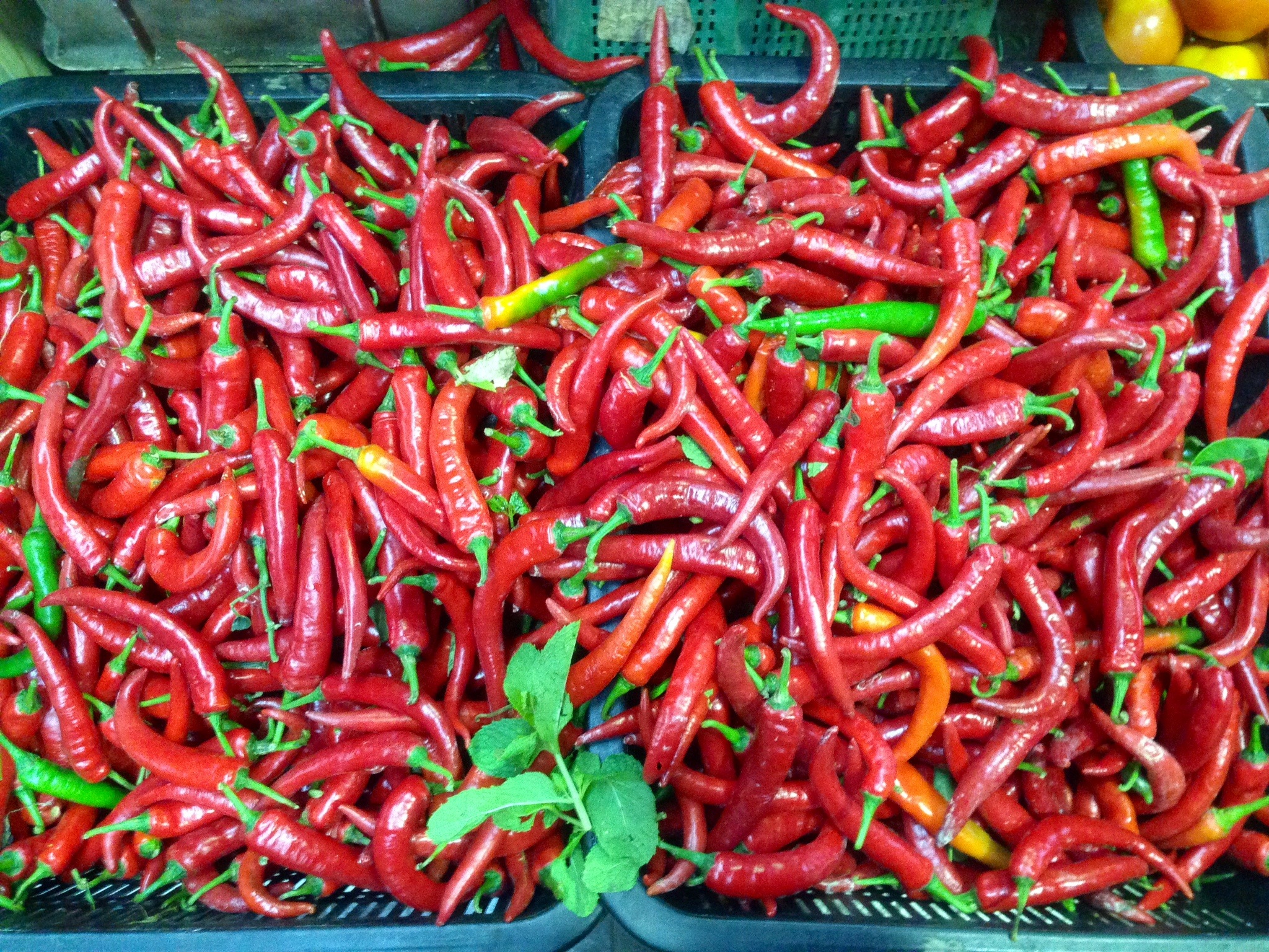 Vibrant red chilis.