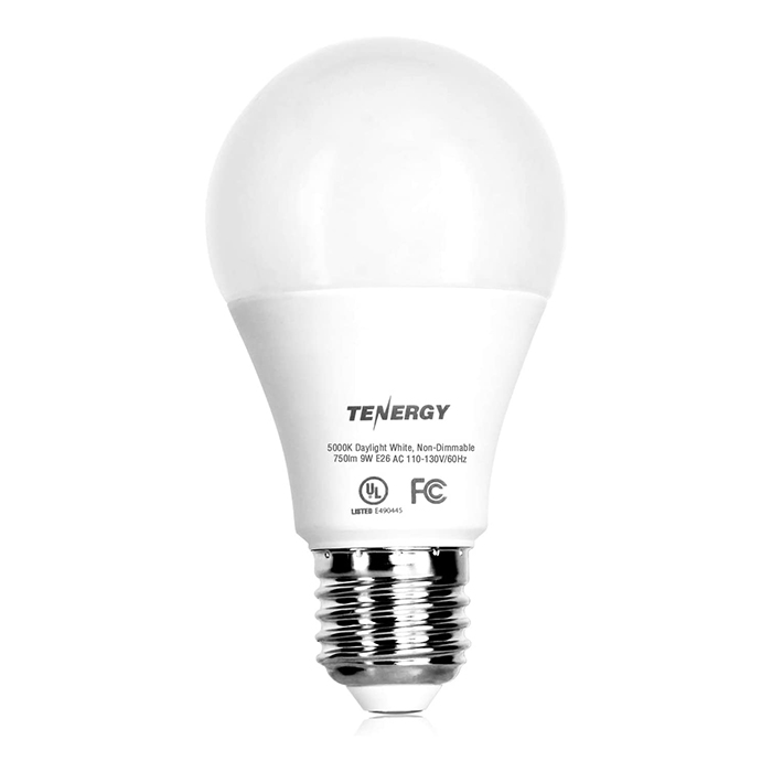 ISSING 12***24-Pack A19 LED Light Bulb, 60 Watt Equivalent, Daylight